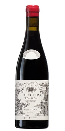 TELMO RODRIGUEZ FALCOEIRA 2016