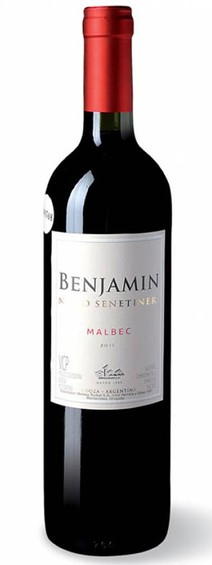 BENJAMIN NIETO MALBEC