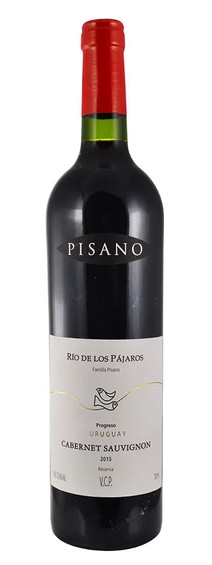 PISANO PAJAROS PINTADOS CABERNET SAUVIGNON
