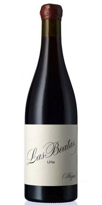 TELMO RODRIGUEZ LAS BEATAS 2014