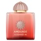Perfume EXDP Amouage Guidance 46