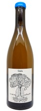 BELLE VUE GAIA 2020